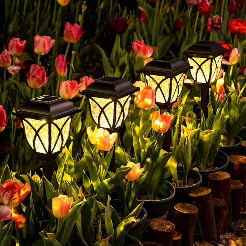 SolarLights™ -  Magische Buitenverlichting (1+1 GRATIS)