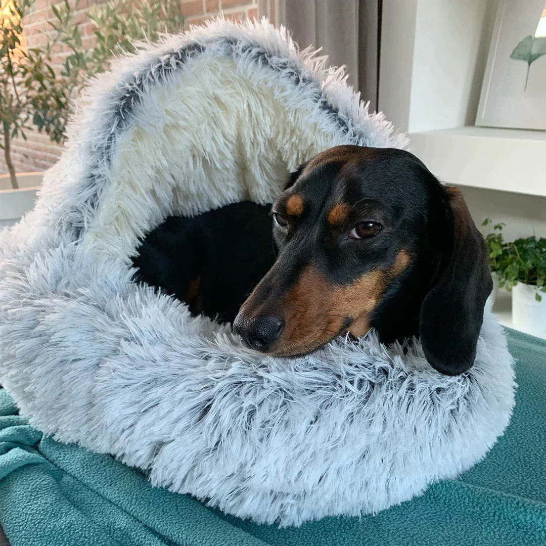 Droombedje™ - Luxe Comfortabel Hondenbed